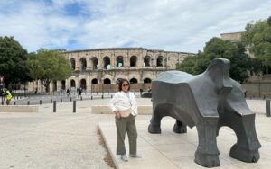 Read more about the article Nimes, France